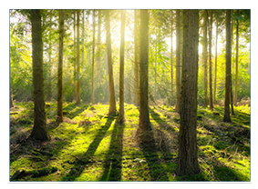 Respect de l’environnement